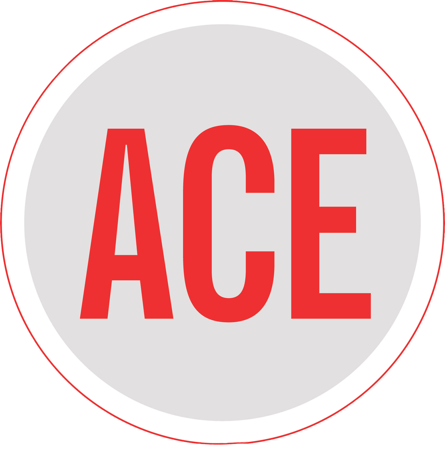 ACE Programs for the Homeless - Empowering Those in Need